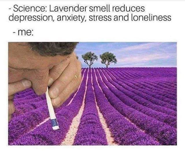 Anxiety meme Science: Lavender smell reduces depression, anxiety, stress and loneliness. Me: