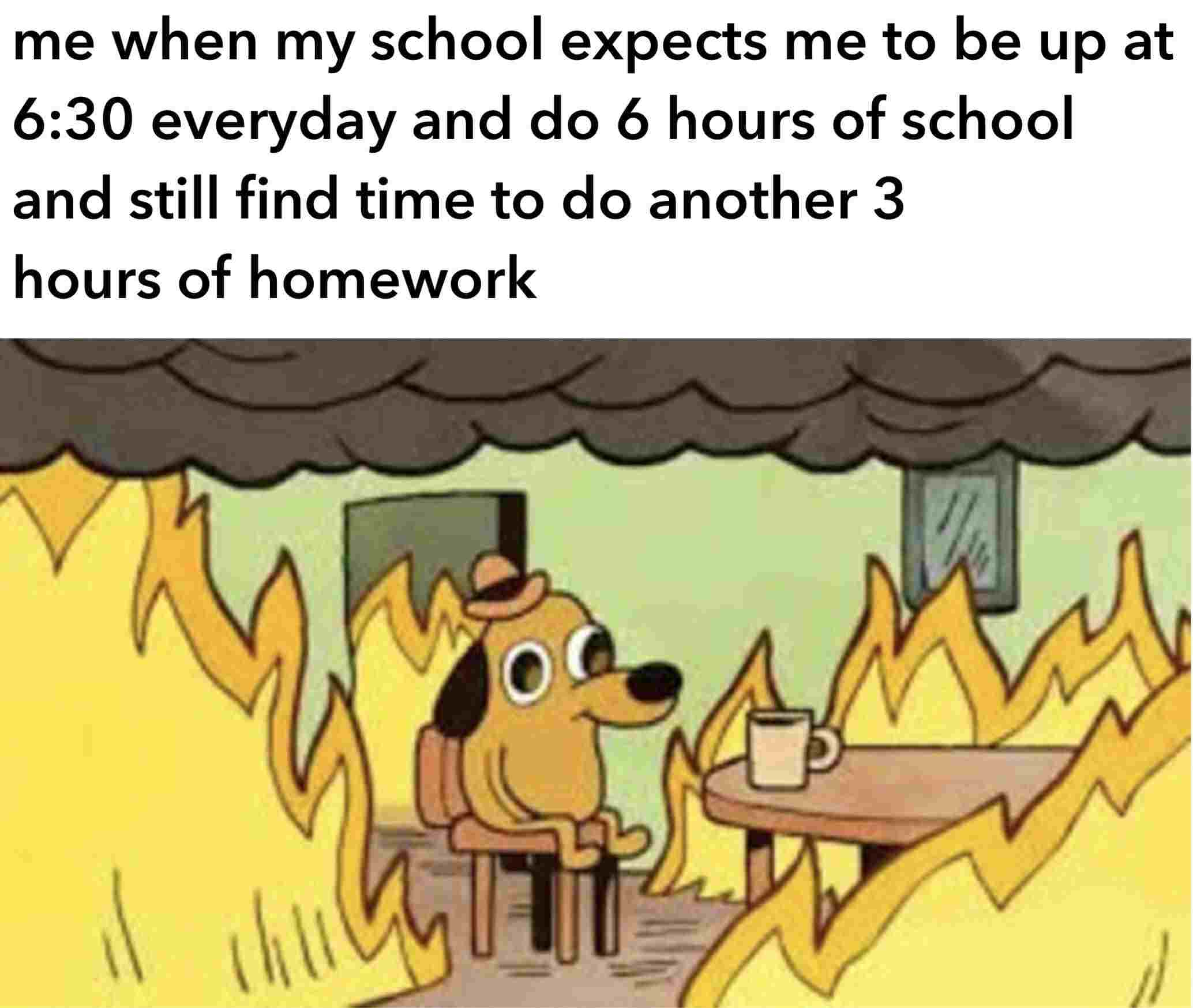 This is fine meme Me when my school expects me to be up at 6:30 everyday and do 6 hours of school and still find time to do another 3 hours of homework