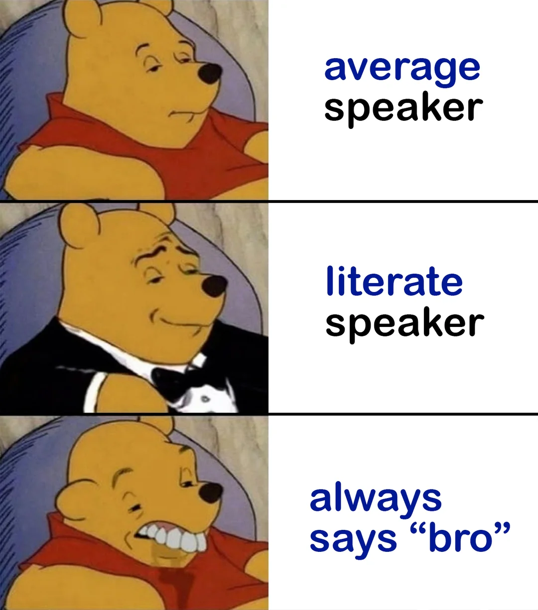 Communication meme Average speaker, literate speaker, always says ''bro''