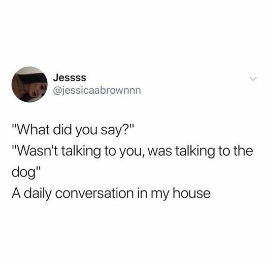 Communication meme ''What did you say'', ''Wasn't talking to you, was talking to the dog'', A daily conversation in my house