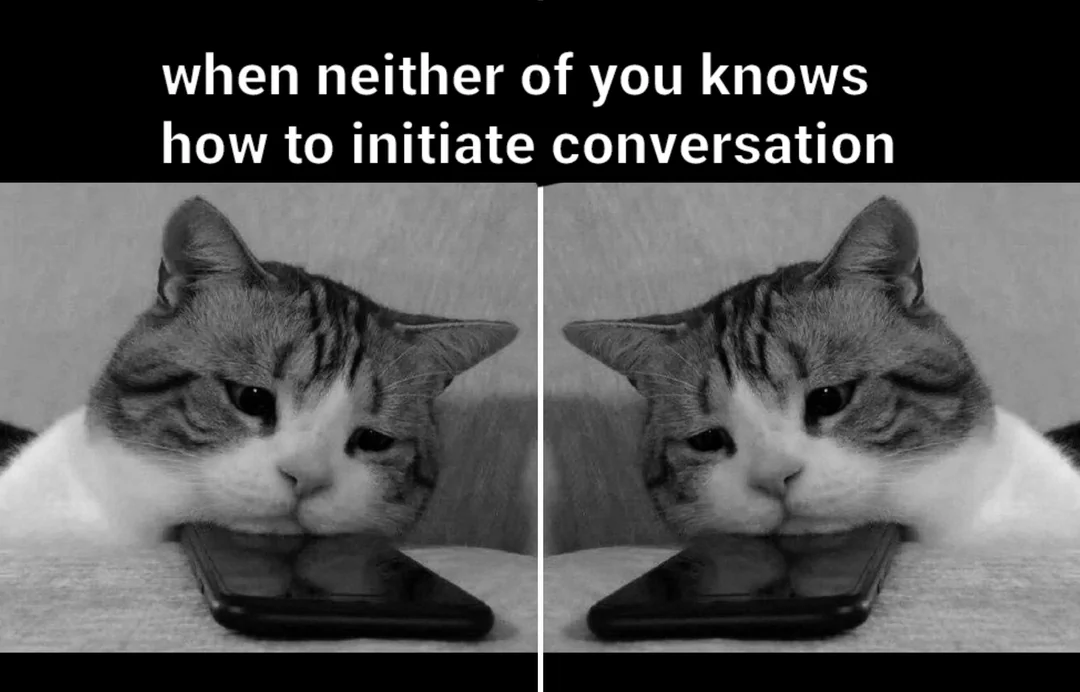Communication meme When neither of you knows hot to initiate conversation