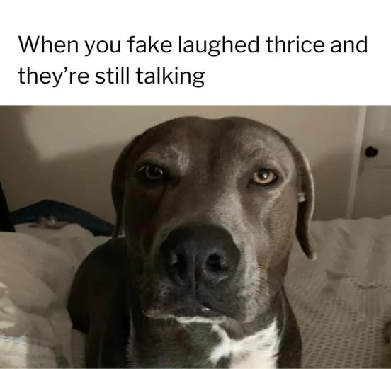 Communication meme When you fake laughed thrice and they're still talking