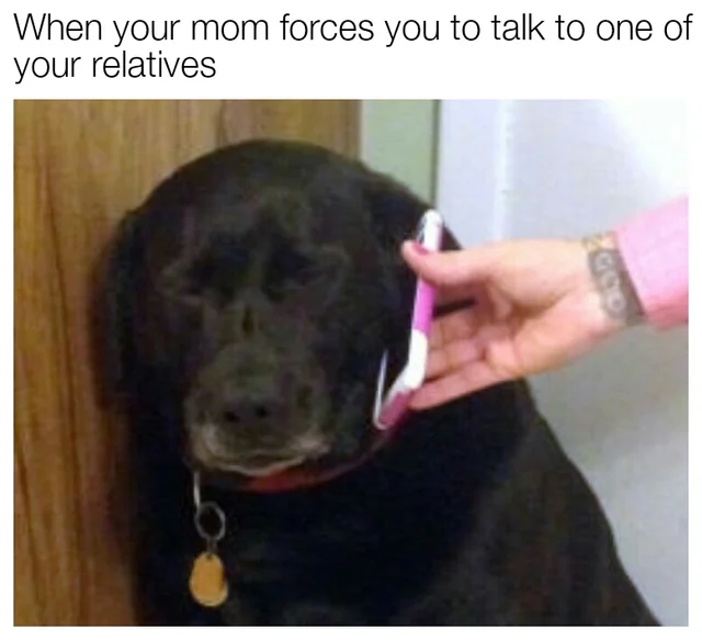 Communication meme When your mom forces you to talk to one of you relatives