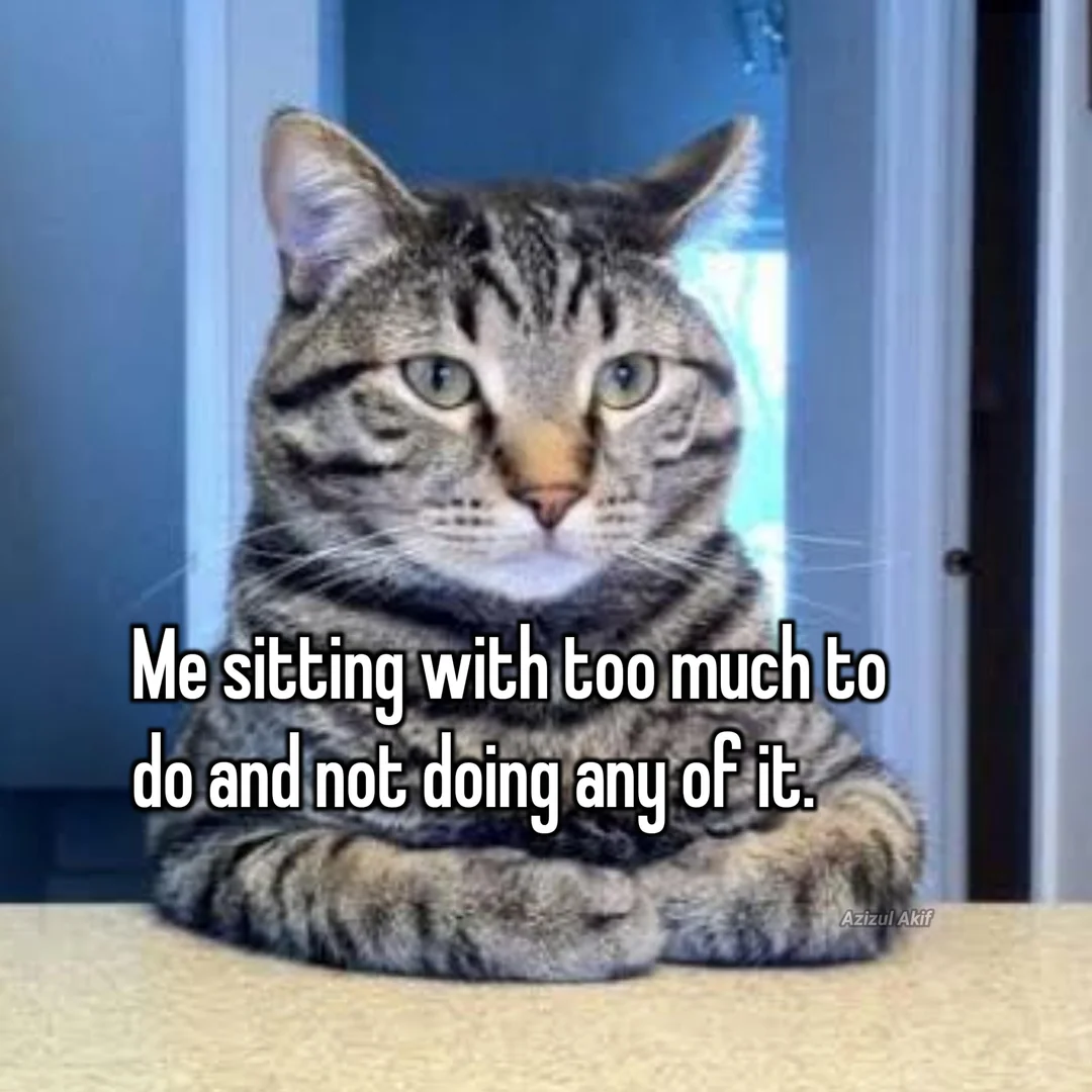 Procrastination meme Me sitting with too much to do and not doing any of it