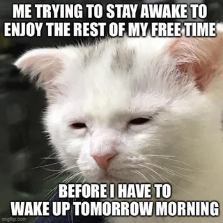 Procrastination meme Me trying to stay awake to enjoy the rest of my free time, before i have to wake up tomorrow morning